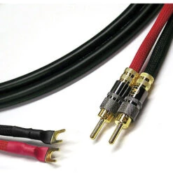 Canare 11 AWG 4S11 Speaker Cable With 2 Banana To 2 Spade Connectors (10')(Canare 11 Awg 4s11 Speaker Cable With 2 Banana To 2 Spade Connectors 10)