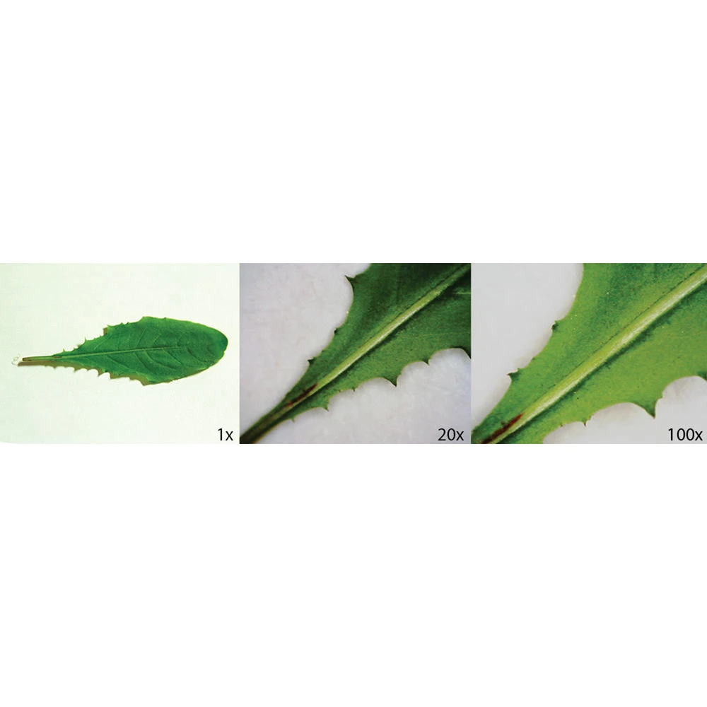 Celestron PentaView 5.0MP Cordless Digital Microscope (Black)(Celestron Pentaview 5 0mp Cordless Digital Microscope Black) 3 Celestron PentaView 5.0MP Cordless Digital Microscope (Black)(Celestron Pentaview 5 0mp Cordless Digital Microscope Black) - Image 3