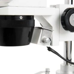 CELESTRON LABS S10-60 Stereo Microscope(Celestron Labs S10 60 Stereo Microscope) -Celestron Shop 1417643404000 IMG 445603