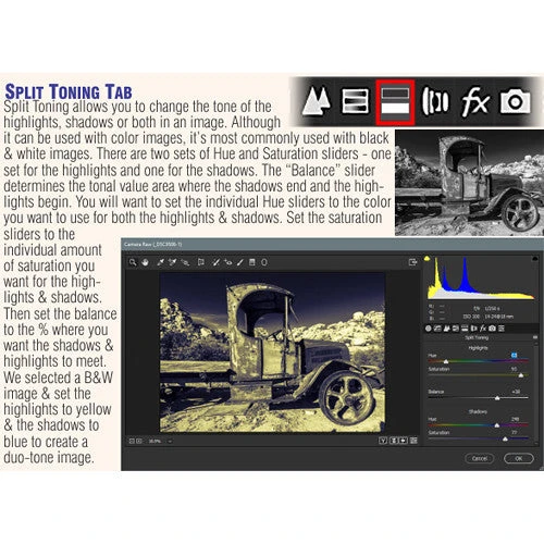 PhotoBert Cheat Sheet For Adobe Camera Raw V9+(Photobert Cheat Sheet For Adobe Camera Raw V9) 5 PhotoBert Cheat Sheet For Adobe Camera Raw V9+(Photobert Cheat Sheet For Adobe Camera Raw V9) - Image 5