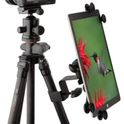 Auray IPU-108 Universal Tablet Mount With Clamp-On And Thread Adapters For Mic Stands, Light Stands, And Tripods(Auray Ipu 108 Universal Tablet Mount With Clamp On And Thread Adapters For Mic Stands Light Stands And Tripods) 25 Auray IPU-108 Universal Tablet Mount With Clamp-On And Thread Adapters For Mic Stands, Light Stands, And Tripods(Auray Ipu 108 Universal Tablet Mount With Clamp On And Thread Adapters For Mic Stands Light Stands And Tripods) -Celestron Shop 1500988567 IMG 839231 8bdb1fe7 8f3b 42e2 a1b9 08cc2b6960c2