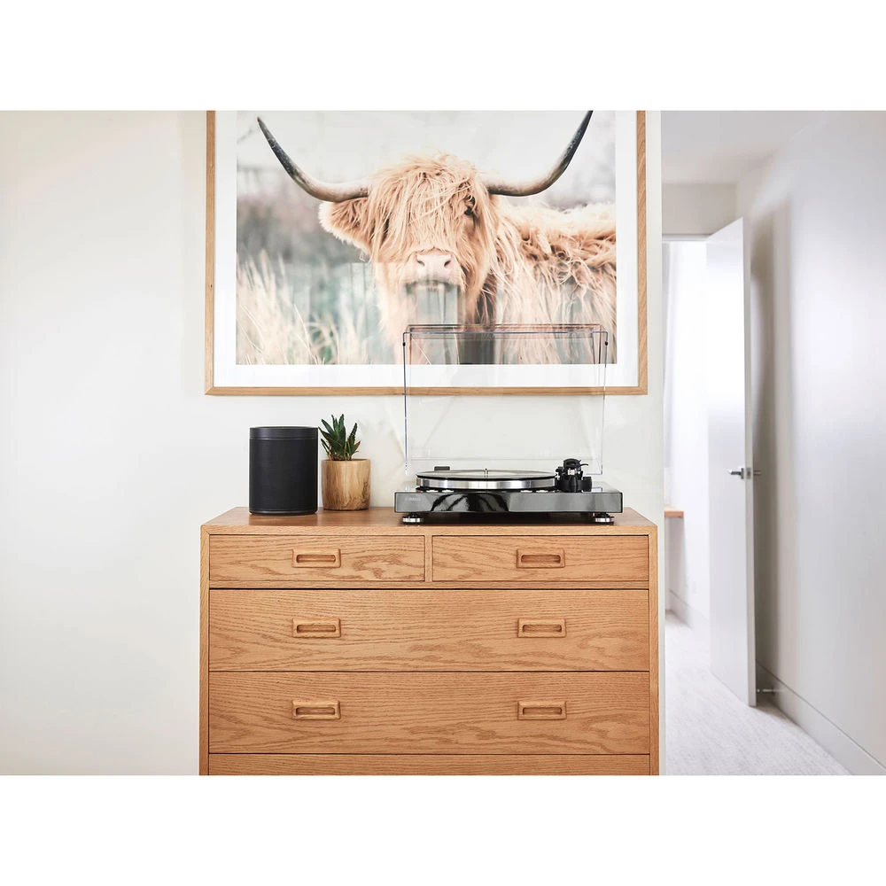 Yamaha TT-N503BL MusicCast VINYL 500 Wireless Stereo Turntable (Piano Black)(Yamaha Tt N503bl Musiccast Vinyl 500 Wireless Stereo Turntable Piano Black) 7 Yamaha TT-N503BL MusicCast VINYL 500 Wireless Stereo Turntable (Piano Black)(Yamaha Tt N503bl Musiccast Vinyl 500 Wireless Stereo Turntable Piano Black) - Image 7