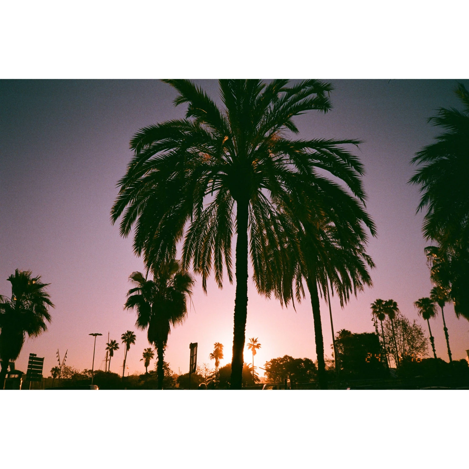 Dubblefilm Bubblegum 200 Color Negative Film (35mm Roll Film, 36 Exposures)(Dubblefilm Bubblegum 200 Color Negative Film 35mm Roll Film 36 Exposures) 4 Dubblefilm Bubblegum 200 Color Negative Film (35mm Roll Film, 36 Exposures)(Dubblefilm Bubblegum 200 Color Negative Film 35mm Roll Film 36 Exposures) - Image 4