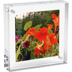 Canetti Design Group Original Magnet Frame (8 X 8")(Canetti Design Group Original Magnet Frame 8 X 8)