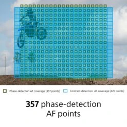 Sony Cyber-shot DSC-RX100 VII Digital Camera(Sony Cyber Shot Dsc Rx100 Vii Digital Camera) -Celestron Shop 1564051565 IMG 1223327