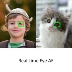 Sony Cyber-shot DSC-RX100 VII Digital Camera(Sony Cyber Shot Dsc Rx100 Vii Digital Camera) -Celestron Shop 1564051565 IMG 1223331