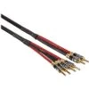 Canare 4S11 Bi-Wire Speaker Cable - 2-Banana To 4-Banana (Black, 3')(Canare 4s11 Bi Wire Speaker Cable 2 Banana To 4 Banana Black 3)