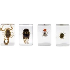 Celestron 3D Bug Specimen Kit #5(Celestron 3d Bug Specimen Kit 5) -Celestron Shop 1572525365 1512114 bf52852c c7d0 4fcc 97fd 8c1d5c38bd64