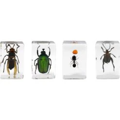 Celestron 3D Bug Specimen Kit #5(Celestron 3d Bug Specimen Kit 5)