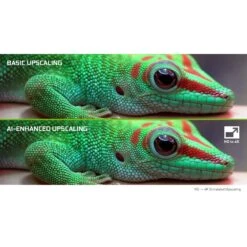 NVIDIA SHIELD Android TV HDR 4K UHD Streaming Media Player (2019)(Nvidia Shield Android Tv Hdr 4k Uhd Streaming Media Player 2019) -Celestron Shop 1573142535 IMG 1266078