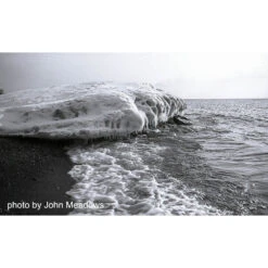 Film Photography Project Low ISO Black And White Negative Film (35mm Roll Film, 24 Exposures)(Film Photography Project Low Iso Black And White Negative Film 35mm Roll Film 24 Exposures) 6 Film Photography Project Low ISO Black And White Negative Film (35mm Roll Film, 24 Exposures)(Film Photography Project Low Iso Black And White Negative Film 35mm Roll Film 24 Exposures) -Celestron Shop 1606747661 IMG 1453166