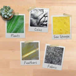 Plugable 250x Digital USB Microscope With Stand(Plugable 250x Digital Usb Microscope With Stand) -Celestron Shop 1611311656 IMG 1476659