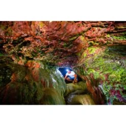 RucPac Professional Halo Headlamp(Rucpac Professional Halo Headlamp) -Celestron Shop 1619112611 IMG 1523306