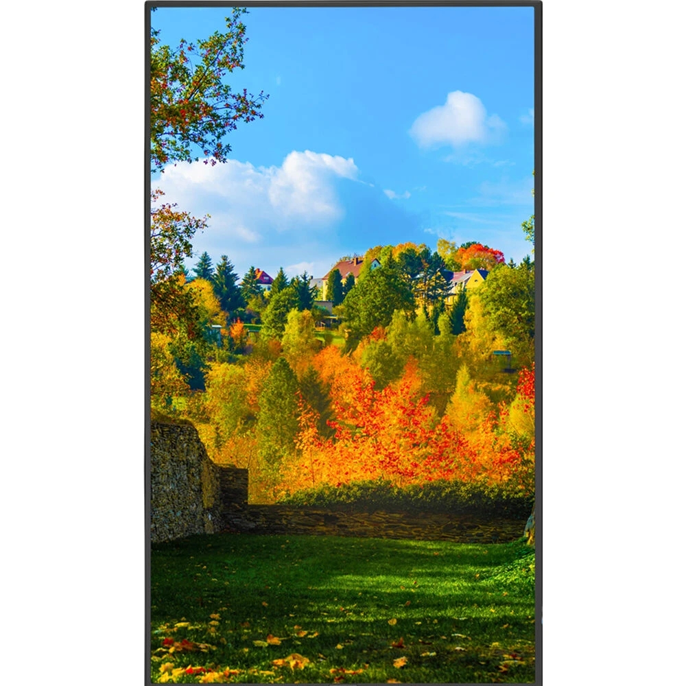 Sharp M Series 55" 4K Commercial Display With Intel Celeron Computer(Sharp M Series 55 4k Commercial Display With Intel Celeron Computer) 2 Sharp M Series 55" 4K Commercial Display With Intel Celeron Computer(Sharp M Series 55 4k Commercial Display With Intel Celeron Computer) - Image 2