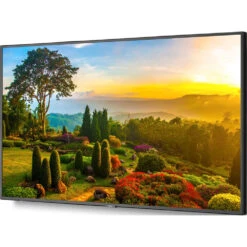 Sharp M Series 55" 4K Commercial Display With Intel Celeron Computer(Sharp M Series 55 4k Commercial Display With Intel Celeron Computer) 9 Sharp M Series 55" 4K Commercial Display With Intel Celeron Computer(Sharp M Series 55 4k Commercial Display With Intel Celeron Computer) -Celestron Shop 1624981652 IMG 1561708