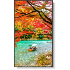 Sharp MA Series 43" 4K Commercial Display With NEC Media Player And Raspberry Pi Compute Module 4 SoC(Sharp Ma Series 43 4k Commercial Display With Nec Media Player And Raspberry Pi Compute Module 4 Soc) -Celestron Shop 1624984316 IMG 1561768