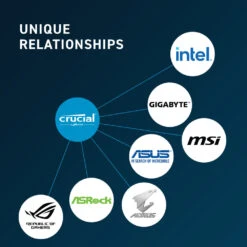 Crucial 16GB DDR5 4800 MHz UDIMM Memory Kit (2 X 8GB)(Crucial 16gb Ddr5 4800 Mhz Udimm Memory Kit 2 X 8gb) -Celestron Shop 1635347769 IMG 1631571