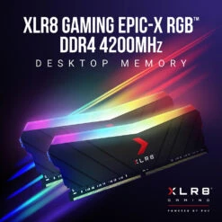 PNY 16GB XLR8 Gaming EPIC-X RGB 4000 MHz Desktop Memory Kit (2 X 8GB)(Pny 16gb Xlr8 Gaming Epic X Rgb 4000 Mhz Desktop Memory Kit 2 X 8gb) -Celestron Shop 1636565449 IMG 1640319