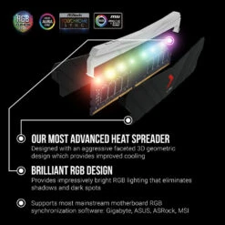 PNY 16GB XLR8 Gaming EPIC-X RGB 4000 MHz Desktop Memory Kit (2 X 8GB)(Pny 16gb Xlr8 Gaming Epic X Rgb 4000 Mhz Desktop Memory Kit 2 X 8gb) -Celestron Shop 1636565449 IMG 1640320