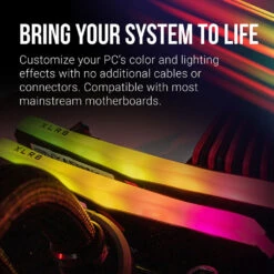 PNY 16GB XLR8 Gaming EPIC-X RGB 4000 MHz Desktop Memory Kit (2 X 8GB)(Pny 16gb Xlr8 Gaming Epic X Rgb 4000 Mhz Desktop Memory Kit 2 X 8gb) -Celestron Shop 1636565449 IMG 1640321