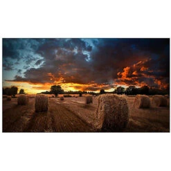 Samsung VMB-U Series 46" Full HD Video Wall Display(Samsung Vmb U Series 46 Full Hd Video Wall Display)