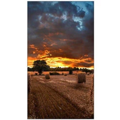 Samsung VMB-U Series 46" Full HD Video Wall Display(Samsung Vmb U Series 46 Full Hd Video Wall Display) -Celestron Shop 1652711431 IMG 1755321