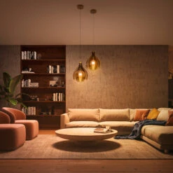 Philips Hue A19 Bulb (White, 2-Pack)(Philips Hue A19 Bulb White 2 Pack) -Celestron Shop 1681741897 IMG 1974420