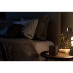 Yamaha True X Speaker 1A Portable Surround Speaker(Yamaha True X Speaker 1a Portable Surround Speaker) -Celestron Shop 1690377349 IMG 2048994