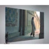 Leica 100" Daylight ALR Projection Screen (49 X 87.2")(Leica 100 Daylight Alr Projection Screen 49 X 87 2)