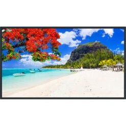 Panasonic SQ2HW Series 43" UHD 4K Commercial Monitor(Panasonic Sq2hw Series 43 Uhd 4k Commercial Monitor)