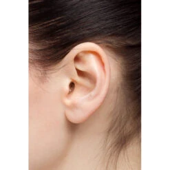 EARasers Musician's HiFi Earplugs (Small)(Earasers Musicians Hifi Earplugs Small) -Celestron Shop 1708517784 IMG 2192200