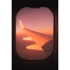 Polaroid Hi-Print 2 X 3" Paper Cartridge (60-Sheets, 6-Pack)(Polaroid Hi Print 2 X 3 Paper Cartridge 60 Sheets 6 Pack) -Celestron Shop 1712837743 IMG 2230606