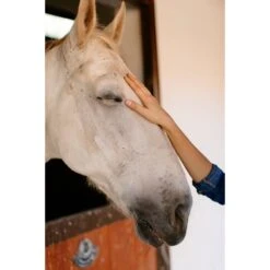 Polaroid Hi-Print 2 X 3" Paper Cartridge (60-Sheets, 6-Pack)(Polaroid Hi Print 2 X 3 Paper Cartridge 60 Sheets 6 Pack) -Celestron Shop 1712837743 IMG 2230607