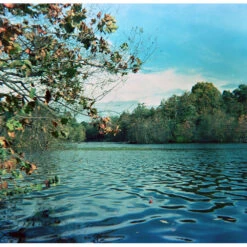 Film Photography Project Color Negative Film (620 Roll Film)(Film Photography Project Color Negative Film 620 Roll Film) -Celestron Shop 1724068829 IMG 2316273