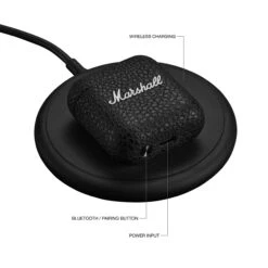 Marshall Minor IV True Wireless Earbuds(Marshall Minor Iv True Wireless Earbuds) -Celestron Shop 1727435870 IMG 2346659