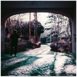 Lomography LomoChrome Purple Color Negative Film (120 Roll Film)(Lomography Lomochrome Purple Color Negative Film 120 Roll Film) -Celestron Shop 1728997851 IMG 2154289