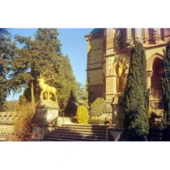 KONO Delight Art 400 Color Negative Film (120 Roll Film, Expired 04/2024)(Kono Delight Art 400 Color Negative Film 120 Roll Film Expired 04 2024) -Celestron Shop 1730905255 IMG 2366762