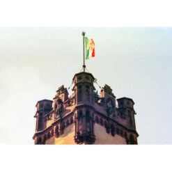 KONO Delight Art 400 Color Negative Film (120 Roll Film, Expired 04/2024)(Kono Delight Art 400 Color Negative Film 120 Roll Film Expired 04 2024) -Celestron Shop 1730905255 IMG 2366763