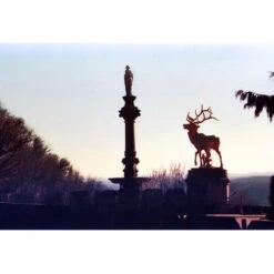 KONO Delight Art 400 Color Negative Film (120 Roll Film, Expired 04/2024)(Kono Delight Art 400 Color Negative Film 120 Roll Film Expired 04 2024) -Celestron Shop 1730905255 IMG 2366764