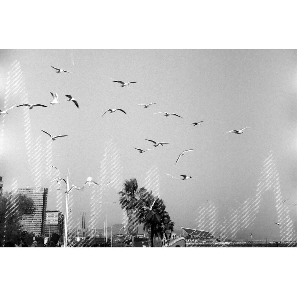 Dubblefilm Glitch 200 B&W Negative Film (35mm Roll, 36 Exposures)(Dubblefilm Glitch 200 B W Negative Film 35mm Roll 36 Exposures) 2 Dubblefilm Glitch 200 B&W Negative Film (35mm Roll, 36 Exposures)(Dubblefilm Glitch 200 B W Negative Film 35mm Roll 36 Exposures) - Image 2