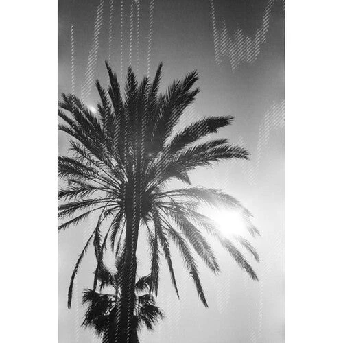 Dubblefilm Glitch 200 B&W Negative Film (35mm Roll, 36 Exposures)(Dubblefilm Glitch 200 B W Negative Film 35mm Roll 36 Exposures) 4 Dubblefilm Glitch 200 B&W Negative Film (35mm Roll, 36 Exposures)(Dubblefilm Glitch 200 B W Negative Film 35mm Roll 36 Exposures) - Image 4