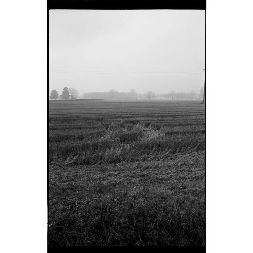 Ferrania P33 160 ISO Black And White Film (35mm Roll Film, 36 Exposures)(Ferrania P33 160 Iso Black And White Film 35mm Roll Film 36 Exposures) 3 Ferrania P33 160 ISO Black And White Film (35mm Roll Film, 36 Exposures)(Ferrania P33 160 Iso Black And White Film 35mm Roll Film 36 Exposures) - Image 3