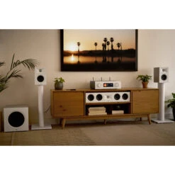 JBL Stage 200P 10" 150W Subwoofer (Latte)(Jbl Stage 200p 10 150w Subwoofer Latte) -Celestron Shop 1733489186 IMG 2390117