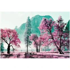 Lomography Analogue Trio Mixed Film Pack (35mm)(Lomography Analogue Trio Mixed Film Pack 35mm) -Celestron Shop 1733849739 IMG 2392280