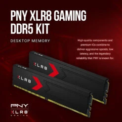 PNY 32GB XLR8 Gaming EPIC-X RGB DDR5 6400 MHz UDIMM Desktop Memory Kit (2 X 16GB)(Pny 32gb Xlr8 Gaming Epic X Rgb Ddr5 6400 Mhz Udimm Desktop Memory Kit 2 X 16gb) -Celestron Shop 1736441574 IMG 2409556