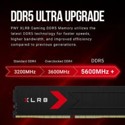 PNY 32GB XLR8 Gaming EPIC-X RGB DDR5 6400 MHz UDIMM Desktop Memory Kit (2 X 16GB)(Pny 32gb Xlr8 Gaming Epic X Rgb Ddr5 6400 Mhz Udimm Desktop Memory Kit 2 X 16gb) -Celestron Shop 1736441574 IMG 2409558