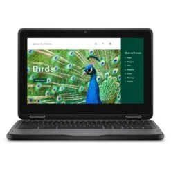 Dell 11.6" 3120 Multi-Touch 2-in-1 Chromebook(Dell 11 6 3120 Multi Touch 2 In 1 Chromebook) -Celestron Shop 1738863936 IMG 2427374