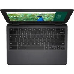Dell 11.6" 3120 Chromebook(Dell 11 6 3120 Chromebook) -Celestron Shop 1739204777 IMG 2293356