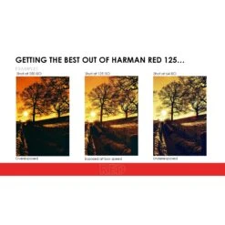 HARMAN Technology Red 125 Redscale Color Negative Film (35mm Roll Film, 36 Exposures)(Harman Technology Red 125 Redscale Color Negative Film 35mm Roll Film 36 Exposures) -Celestron Shop 1739515544 IMG 2420444