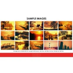 HARMAN Technology Red 125 Redscale Color Negative Film (35mm Roll Film, 36 Exposures)(Harman Technology Red 125 Redscale Color Negative Film 35mm Roll Film 36 Exposures) -Celestron Shop 1739515544 IMG 2420445